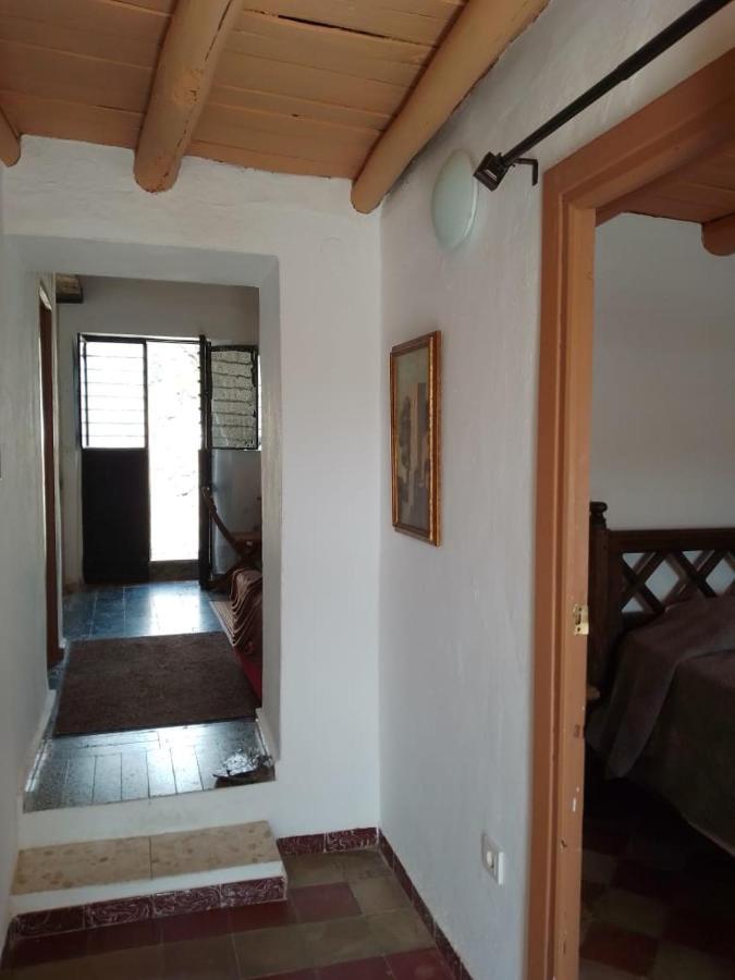 La Casita En La Alcornocosa -Sevilla Экстерьер фото